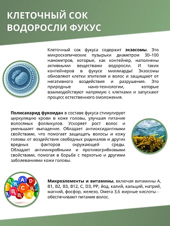 ALGENIC DR.FUCUS Восстанавливающий шампунь с аминокослотами ALGENIC DR.FUCUS Восстанавливающий шампунь с аминокослотами